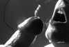 763c7f911207c20d6c38a1cefa7add3dac0cd89a.gif
