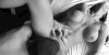 19951924.gif