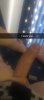BB71BCC4-8168-4040-9591-A72A6D03B9BF.jpeg
