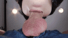 83A63BB1-2CF7-456D-A37E-E4814DE209E1.gif