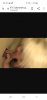 Screenshot_20190825-082015_Chrome.jpg