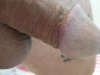 20190828_191238.jpg