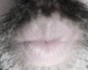 IMG_20220129_202419.jpg