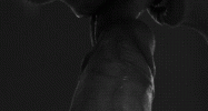 1DD323CA-94B2-4C5A-9F16-413DCFAA2A28.gif