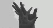 tumblr_o5g4h4qRof1tendedo1_640.gif