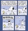 FB_IMG_1640863404879.jpg