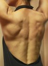 back 001.jpg back 001.jpg
