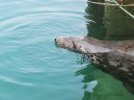 20130830_123955.jpg