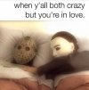 264b218717e9b4db3c4a8dc0d69d9ca8.jpg