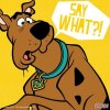 c8a0dc9f96eb63abde427e21c7fa3097--scooby-doo-pizza.jpg