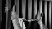 XTLK.gif