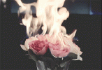 9i8A.gif