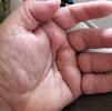 IMG_20211119_174400.jpg