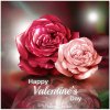 Valentines-Day-Roses.jpg