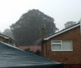 20220214_090931.jpg