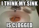 images (1).jpeg
