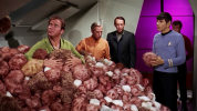 star-trek-trouble-with-tribbles.png