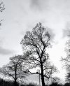 IMG-20220215-WA0009.jpg