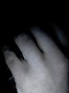16453110034833034298665941266658.jpg