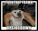 thumb_turn-that-frown-upsidedown-memegenerator-net-turn-that-frown-upside-down-54384614.png thumb_turn-that-frown-upsidedown-memegenerator-net-turn-that-frown-upside-down-54384614.png