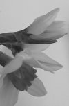20220220_093652.jpg