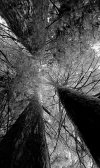 20211003_121133.jpg
