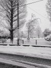20220224_081237_001.jpg