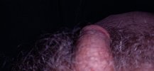 IMG_20220224_033151.jpg