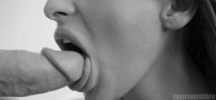 29855.gif