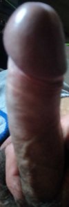 d328c1f3-2759-409e-a62a-254f9f50c45e_900_3f3c_n1.jpg