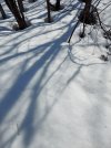 20220309_095627.jpg