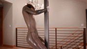 tumblr_p6onectr1g1qz9abqo3_400.gif
