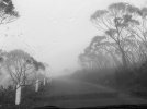 690459CD-7F4A-43C1-9BE9-2BAB2376C73C.jpeg