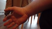 1647438824190-381931595.jpg