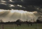 Moody sky_cropped.JPG