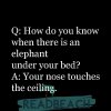 lame-questions-answers-q-how-do-you-know-when.jpg