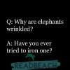 elephant-jokes-q-why-are-elephants-wrinkled--.jpg