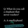 elephant-jokes-q-what-do-you-call-a-elephant-.jpg