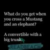 driving-puns-what-do-you-get-when-you-cross-a.jpg
