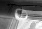 20220321_145140.jpg