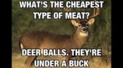 e6d4bfc531329f814350b2e7ea666d33.jpg