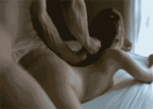 14966.gif