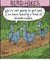 FB_IMG_1647043955822.jpg