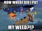 now-where-did-i-put-my-weed.jpg