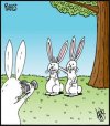 FB_IMG_1647451587519.jpg