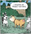 FB_IMG_1637940277543.jpg