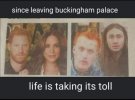 FB_IMG_1649917138390.jpg