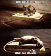 084b8f49610fa906bc6d01550c02187b.gif