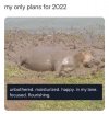 FB_IMG_1650057014008.jpg