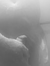1650120530335.jpeg